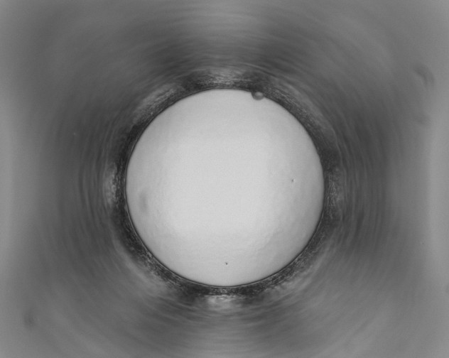 X0000110980216200907101417