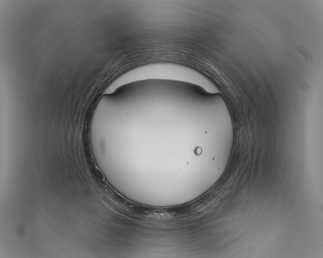 X0000110980217200907101417