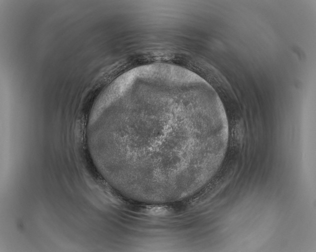 X0000110980218200907101417