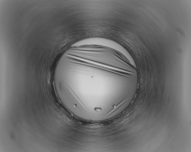 X0000110980219200907101417