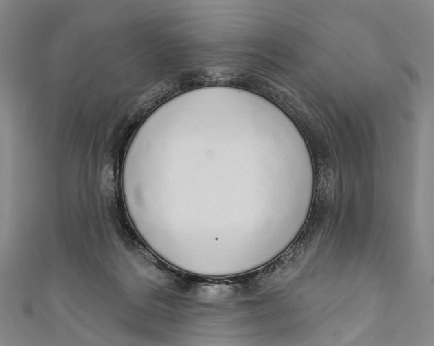 X0000110980220200907101417