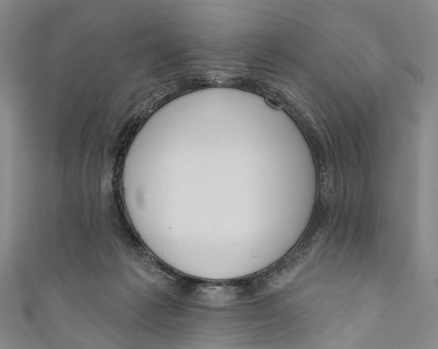 X0000110980221200907101417