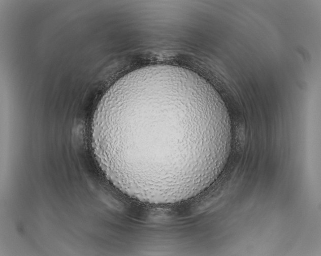 X0000110980222200907101417