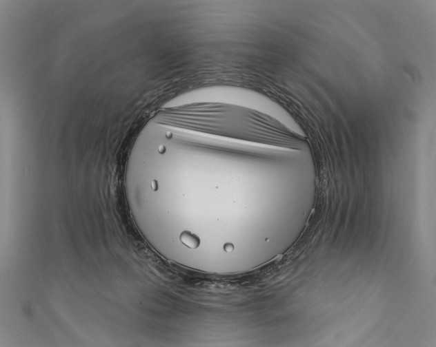 X0000110980223200907101417