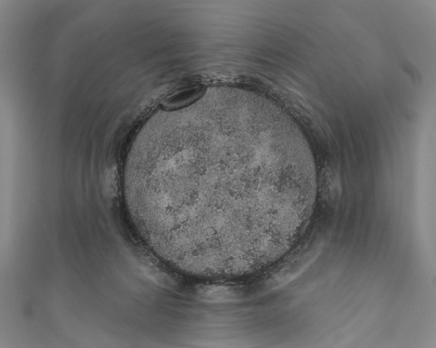 X0000110980224200907101417