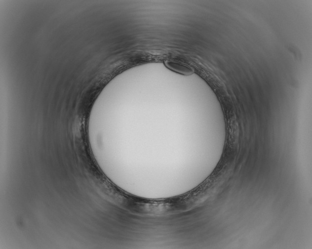 X0000110980225200907101417