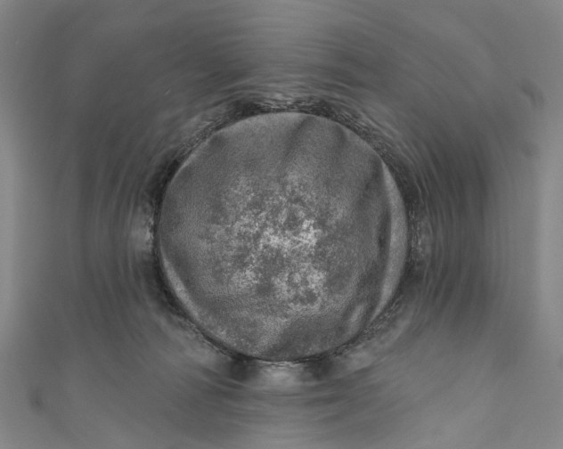 X0000110980226200907101416