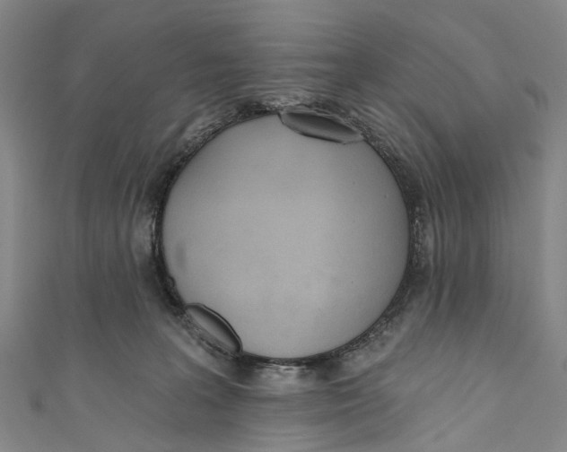 X0000110980227200907101416