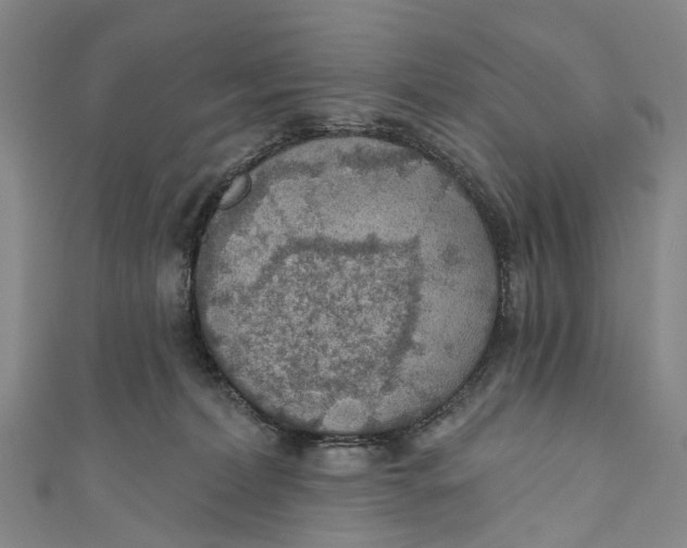 X0000110980228200907101416