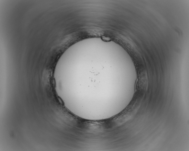 X0000110980229200907101416