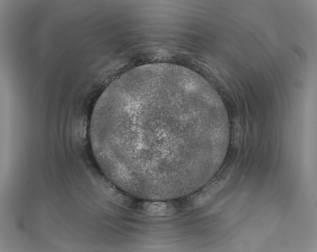 X0000110980230200907101416