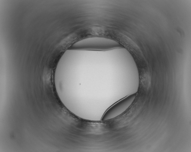 X0000110980233200907101416