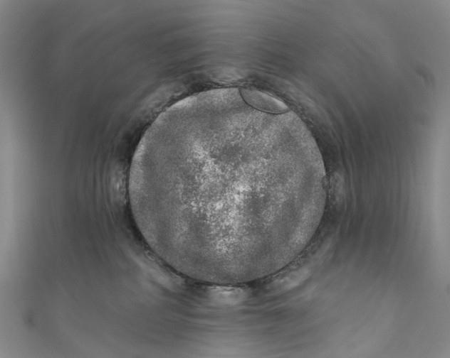 X0000110980234200907101416