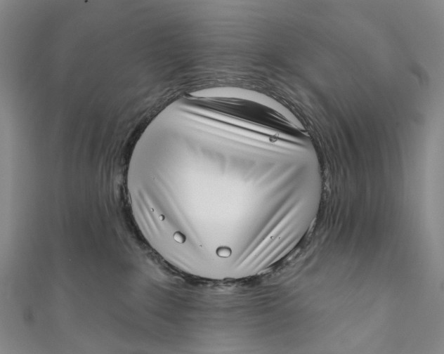 X0000110980235200907101416