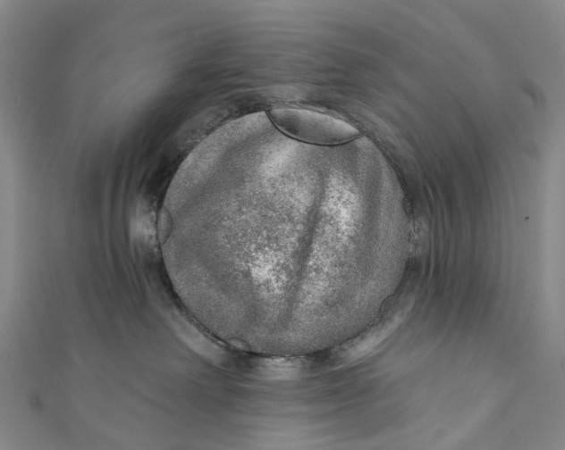 X0000110980238200907101416