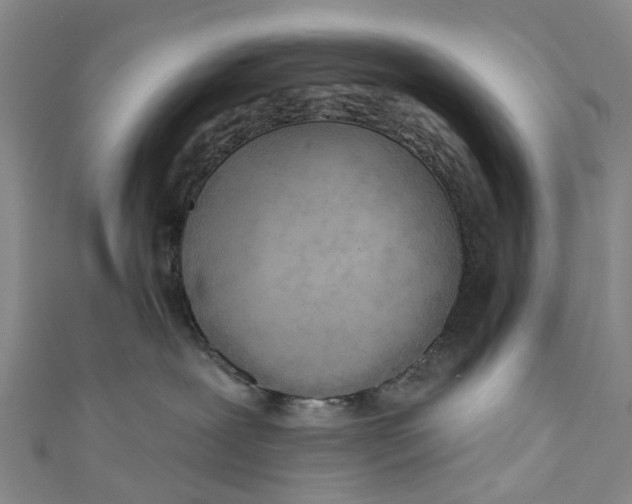 X0000110980239200907101416