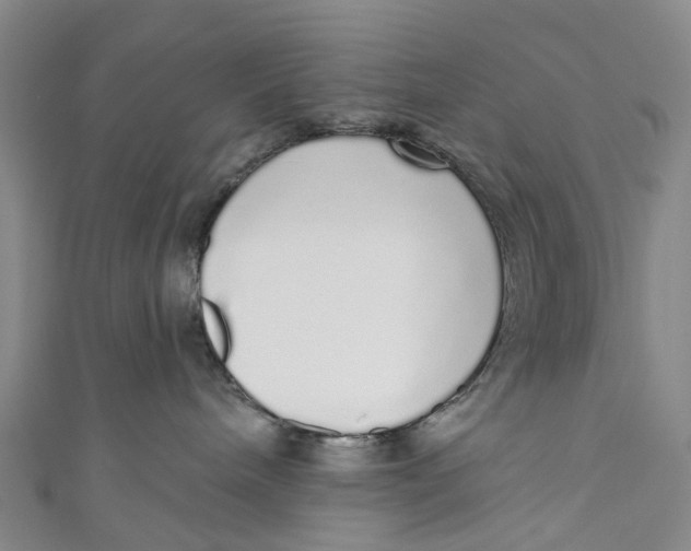 X0000110980240200907101416