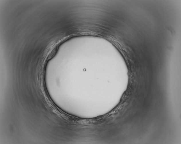 X0000110980241200907101416