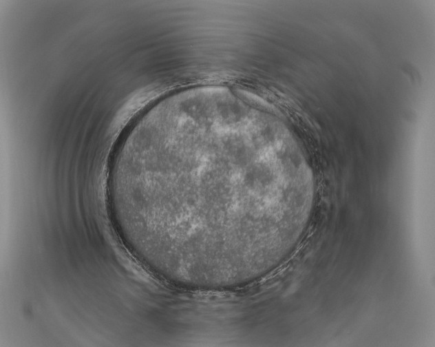 X0000110980242200907101416