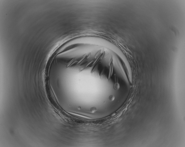 X0000110980244200907101416