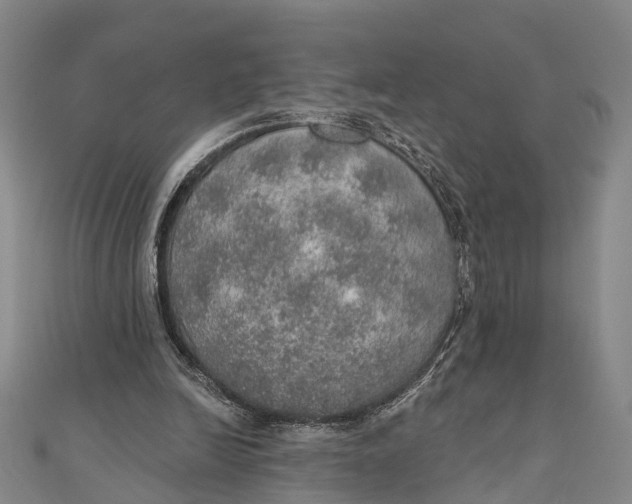 X0000110980246200907101416