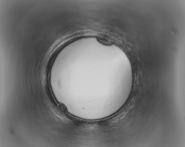 X0000110980247200907101416