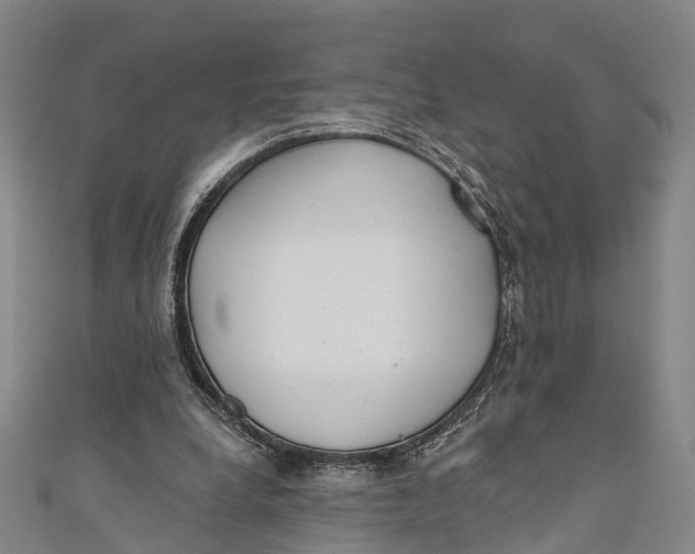 X0000110980248200907101416