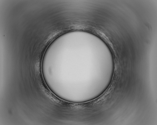 X0000110980249200907101416