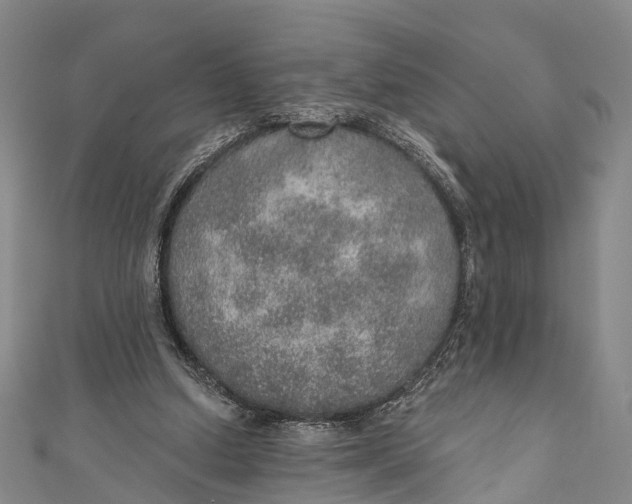 X0000110980250200907101416