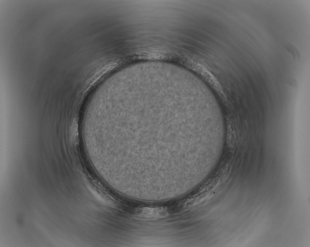 X0000110980251200907101416