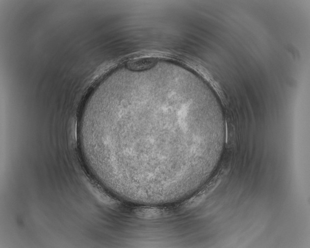 X0000110980253200907101416