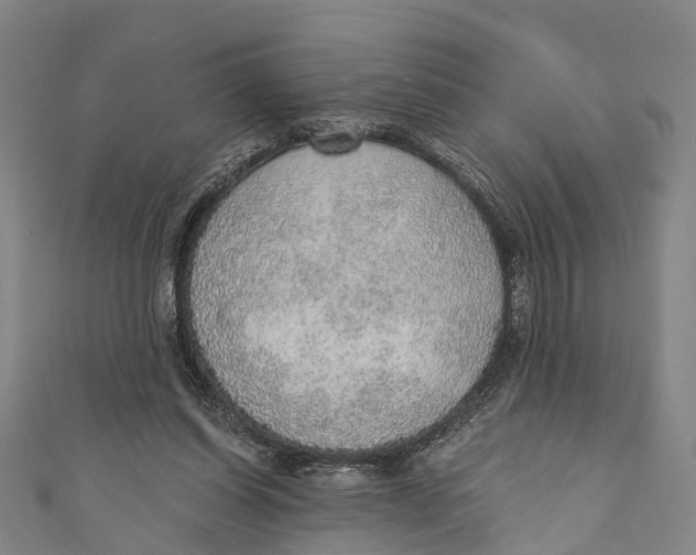 X0000110980254200907101416