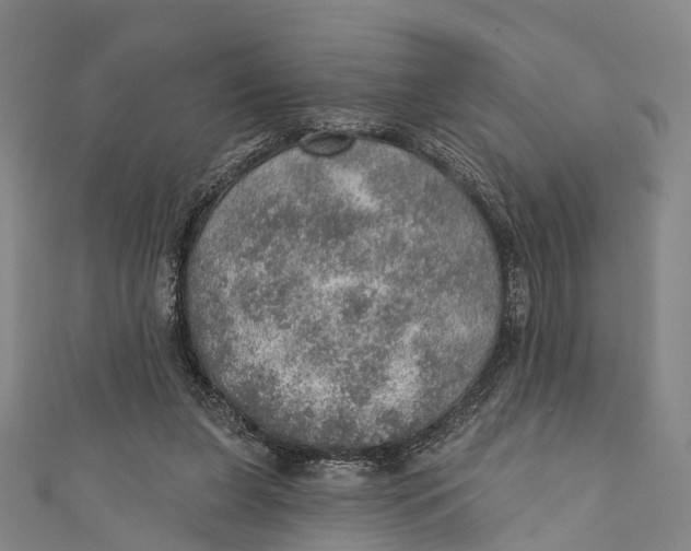 X0000110980255200907101416