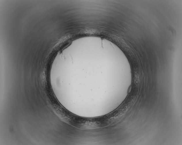 X0000110980256200907101416