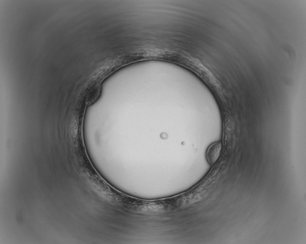 X0000110980257200907101416