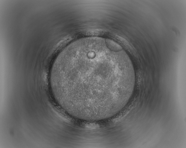 X0000110980258200907101416