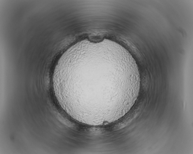 X0000110980261200907101416