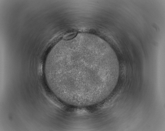 X0000110980262200907101416