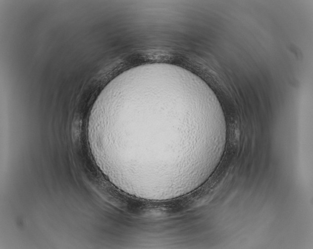 X0000110980263200907101416