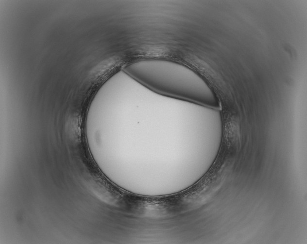 X0000110980264200907101416