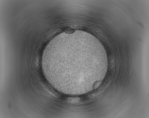 X0000110980266200907101416