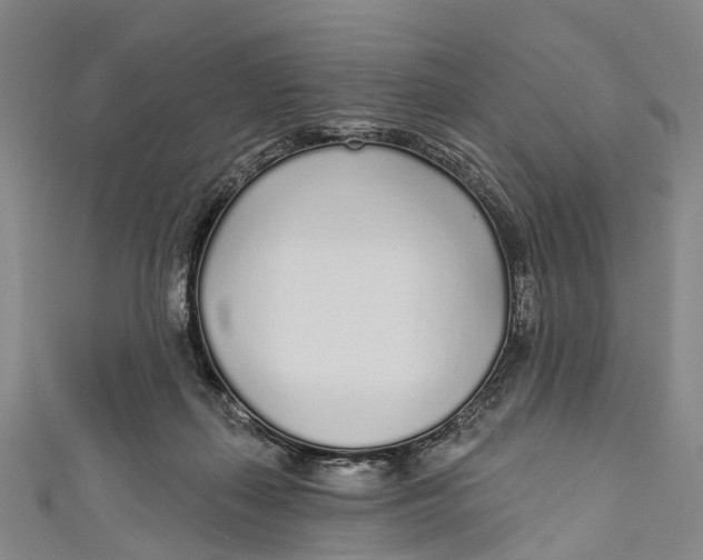 X0000110980267200907101416