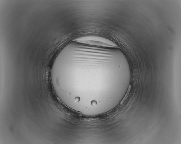 X0000110980268200907101416