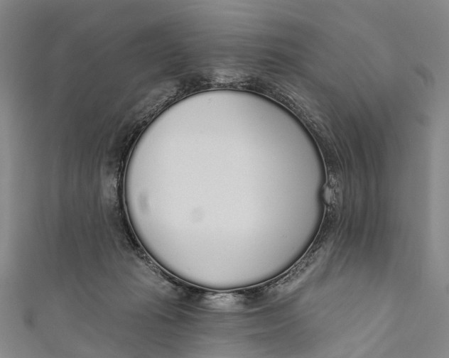 X0000110980269200907101416