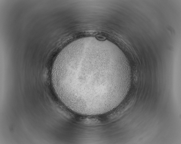 X0000110980270200907101416