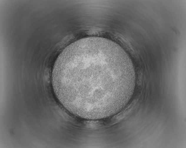 X0000110980273200907101416