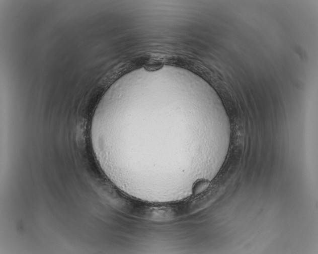 X0000110980275200907101416