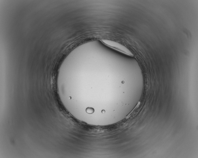 X0000110980276200907101416