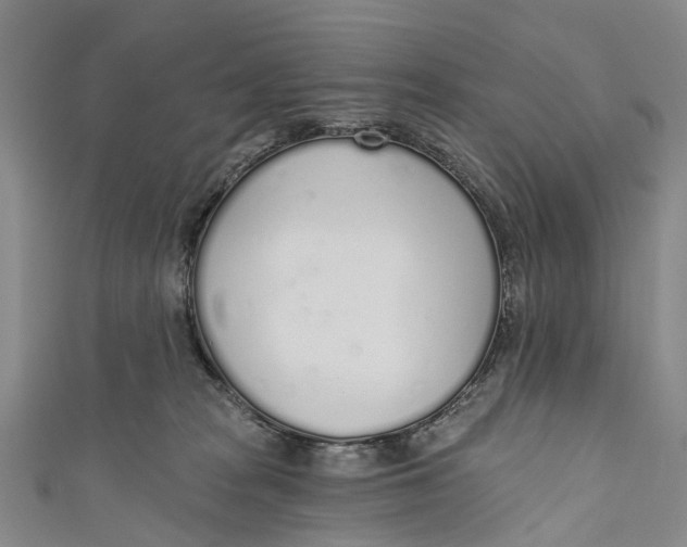 X0000110980277200907101416