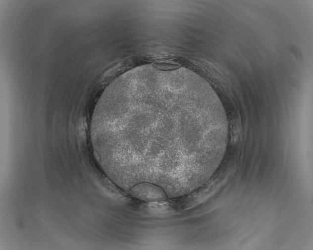 X0000110980279200907101416